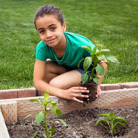 Girl holding plant by garden